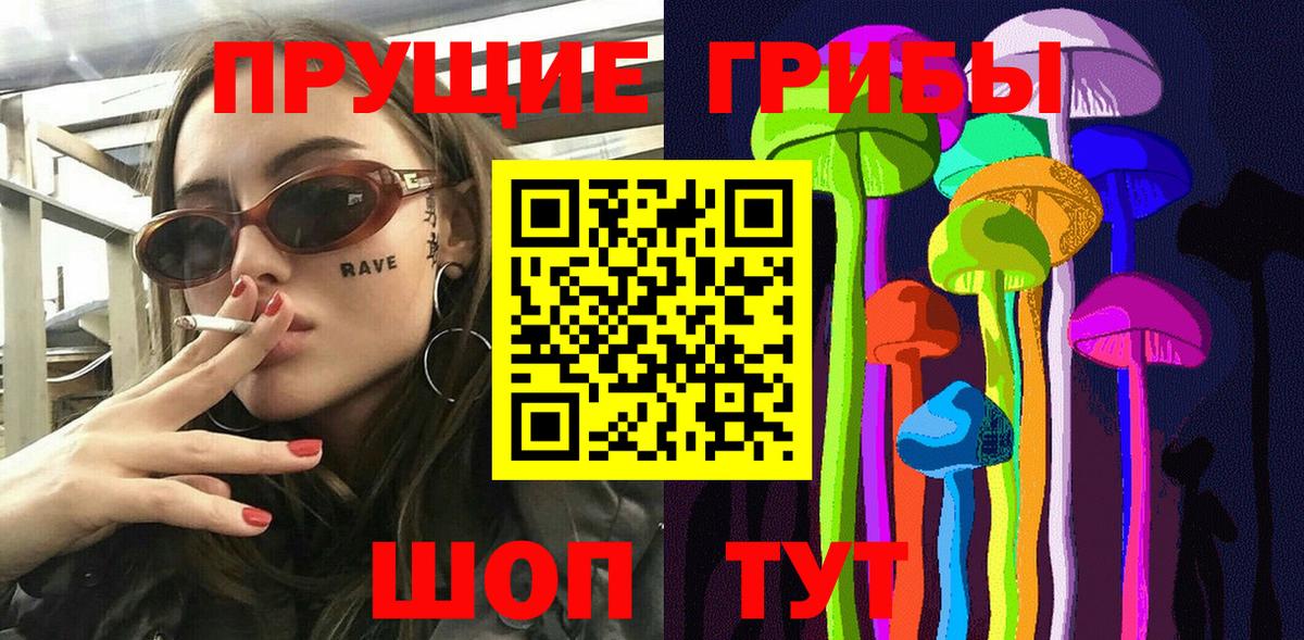 Галлюциногенные грибы Psilocybe Чебоксары